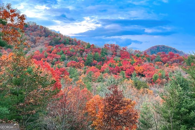 204 Fortenberry Creek Road, Blairsville, GA 30512