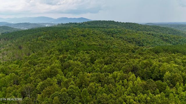 N of Adams Ridge Rd, Lancing, TN 37770