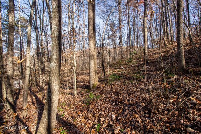 2020 Ruritan Rd, Harriman, TN 37748