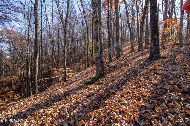 2020 Ruritan Rd, Harriman, TN 37748