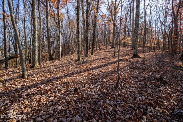 2020 Ruritan Rd, Harriman, TN 37748