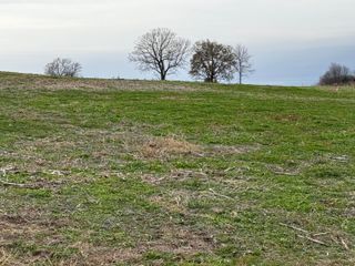 21738 MO 98, Boonville, MO 65233