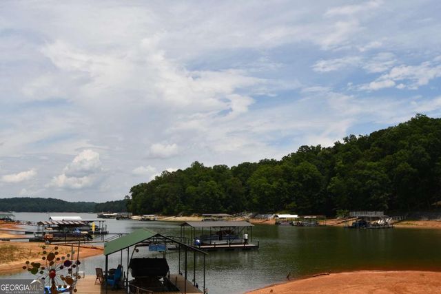 257 Lake Place Drive, Lavonia, GA 30553