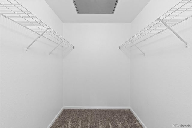 5443 S Dover Street 204, Denver, CO 80123