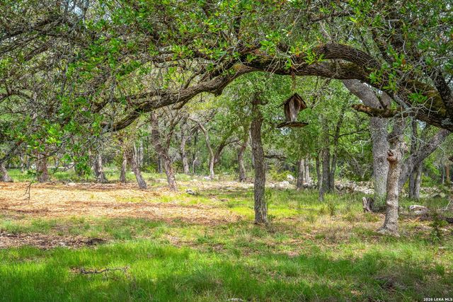 377 BUFFALO SPRINGS RD, New Braunfels, TX 78132