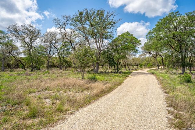 377 BUFFALO SPRINGS RD, New Braunfels, TX 78132