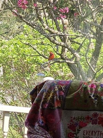 703 GREENBRIAR AVENUE, Park Ridge, WI 54481