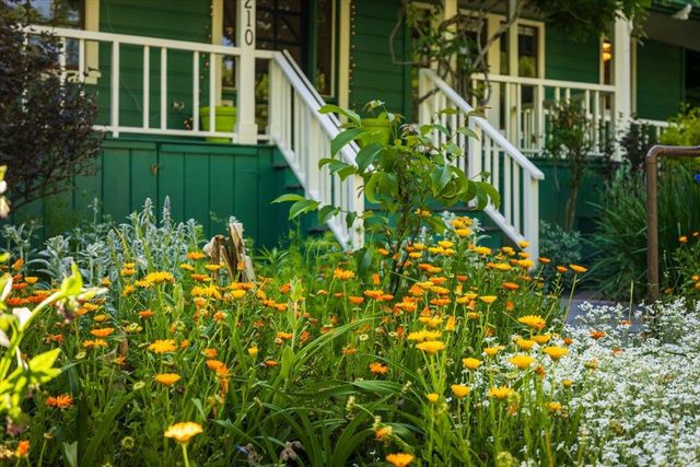 210 Drummond St, Nevada City, CA 95959