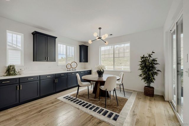 5208 Silver Hare Court, Castle Rock, CO 80104