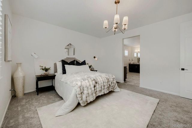 5208 Silver Hare Court, Castle Rock, CO 80104