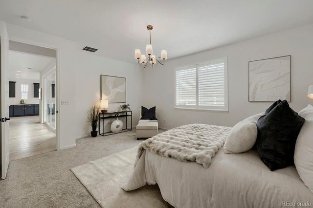 5208 Silver Hare Court, Castle Rock, CO 80104