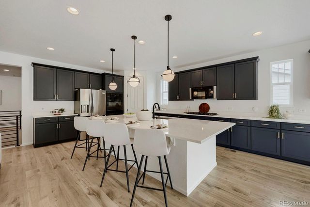 5208 Silver Hare Court, Castle Rock, CO 80104