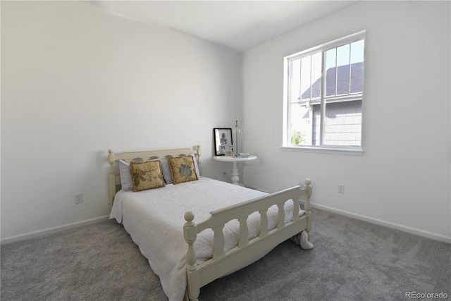 5208 Silver Hare Court, Castle Rock, CO 80104