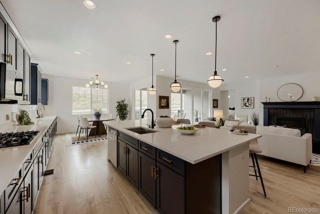 5208 Silver Hare Court, Castle Rock, CO 80104
