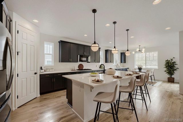 5208 Silver Hare Court, Castle Rock, CO 80104