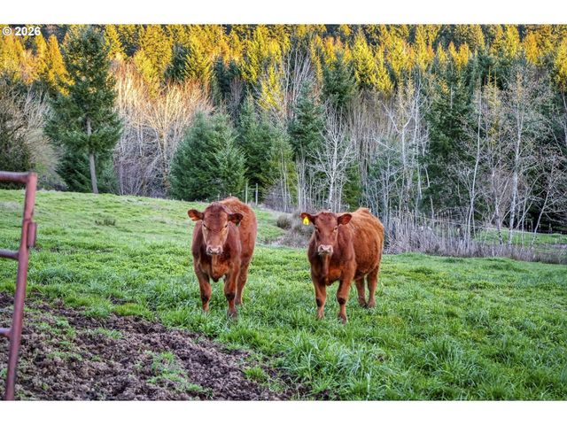 18380 S FERGUSON Rd, Oregon City, OR 97045