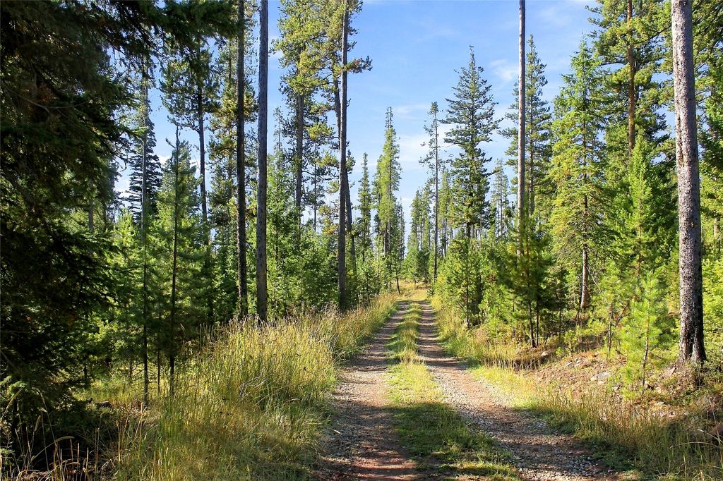 Lot 14 Georgetown Lake Estates, Philipsburg, MT 59858