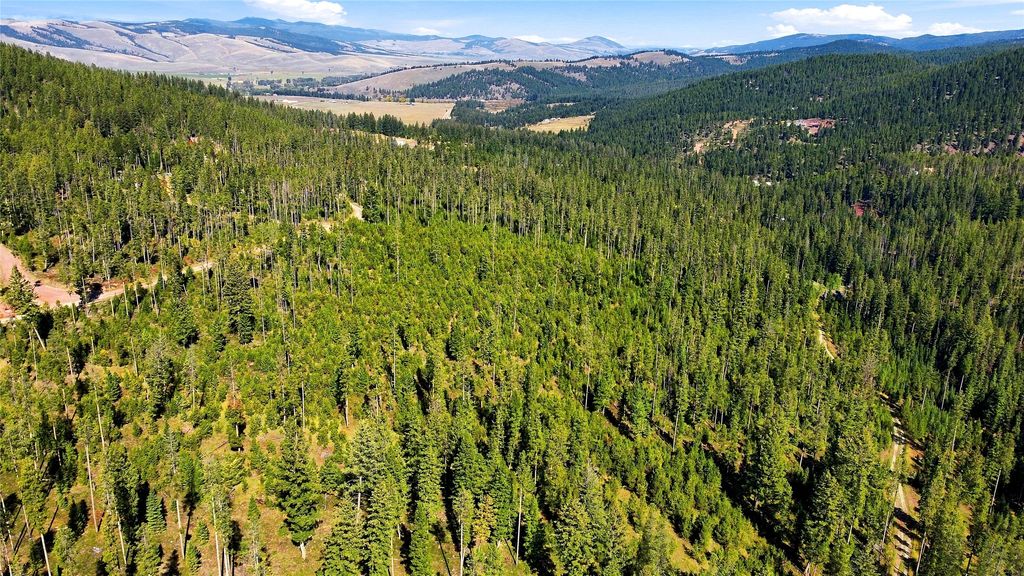 Lot 14 Georgetown Lake Estates, Philipsburg, MT 59858 photo 2