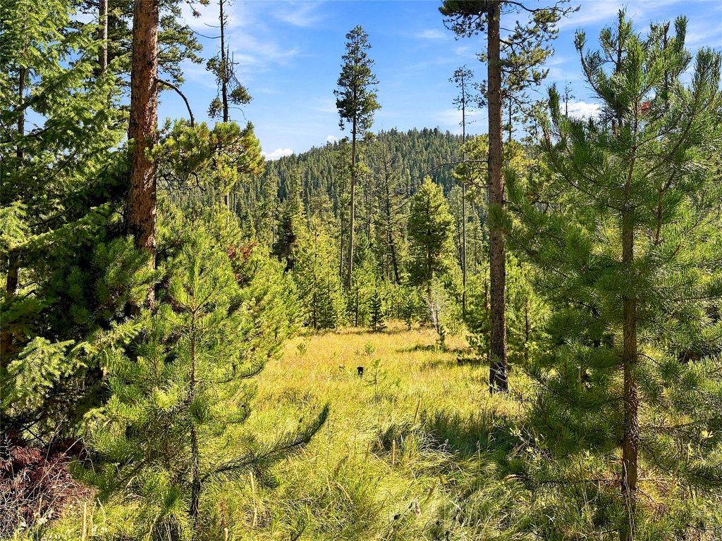 Lot 14 Georgetown Lake Estates, Philipsburg, MT 59858 photo 3
