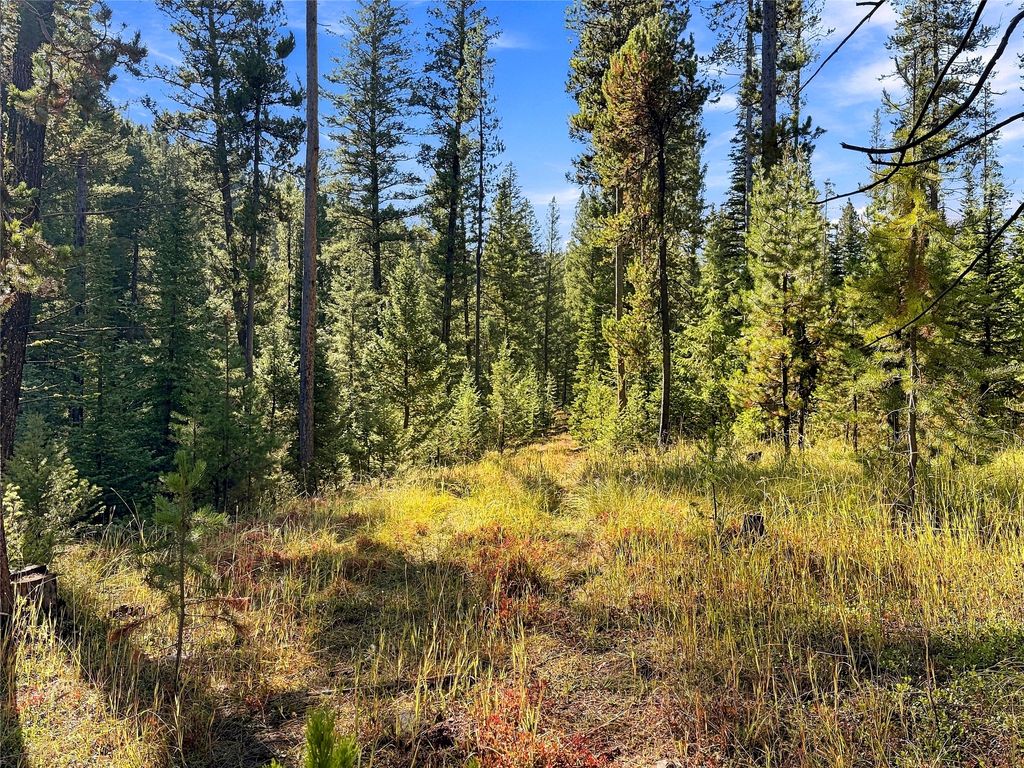 Lot 14 Georgetown Lake Estates, Philipsburg, MT 59858 photo 4
