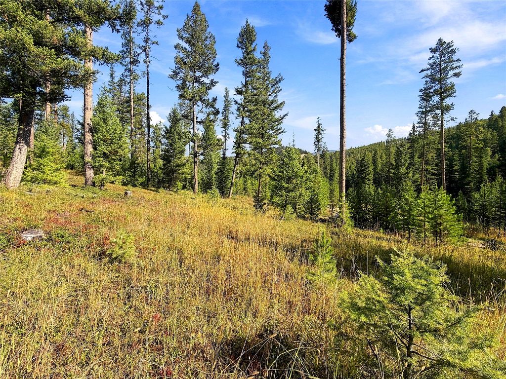 Lot 14 Georgetown Lake Estates, Philipsburg, MT 59858 photo 5