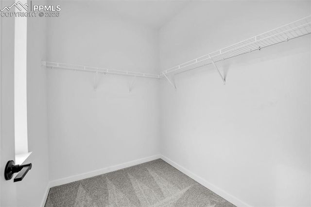 9551 Allouche Street, Colorado Springs, CO 80924