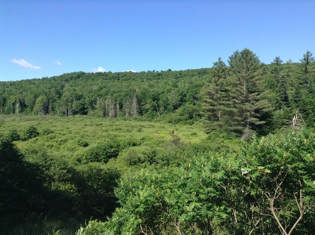 37 Premo Road, Roxbury, VT 05669