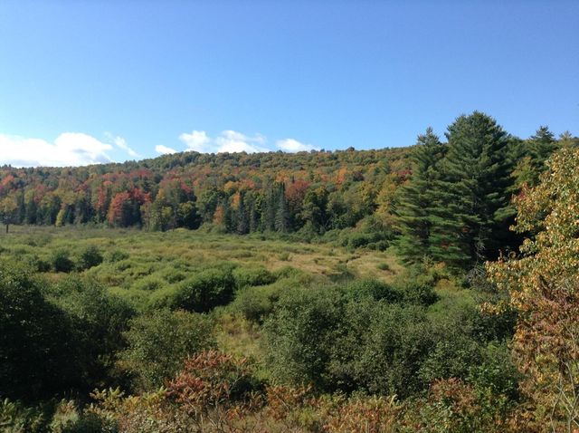 37 Premo Road, Roxbury, VT 05669