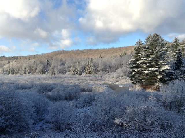 37 Premo Road, Roxbury, VT 05669