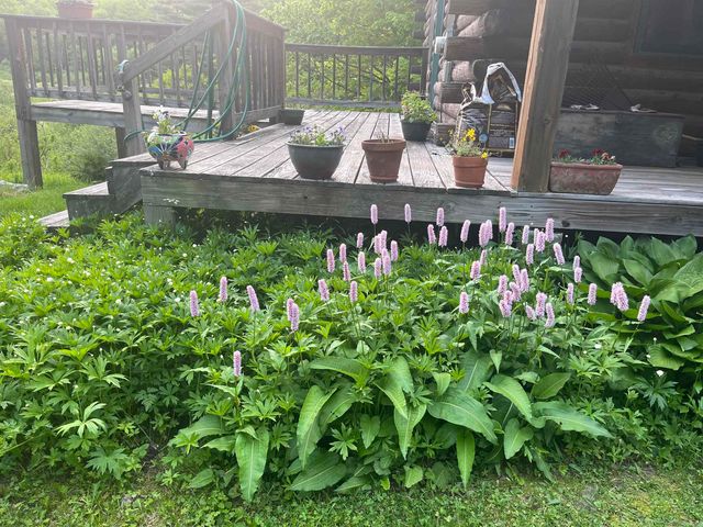 37 Premo Road, Roxbury, VT 05669