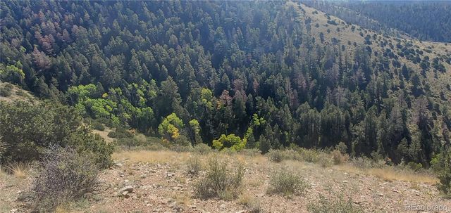 Lot 5820 Covington Road, Fort Garland, CO 81133