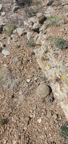 Lot 5820 Covington Road, Fort Garland, CO 81133