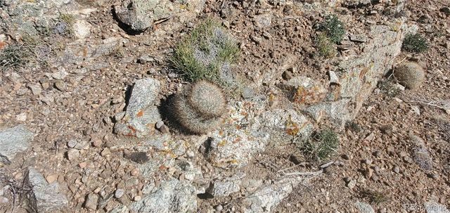 Lot 5820 Covington Road, Fort Garland, CO 81133