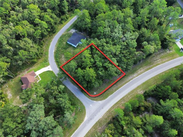TBD FISHER ROAD, Ocklawaha, FL 32179