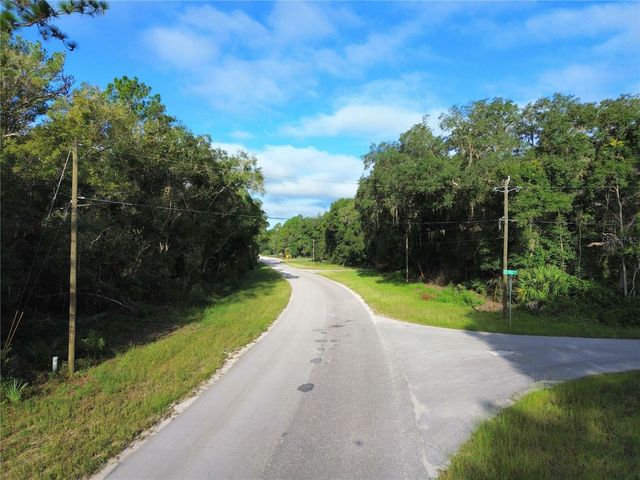 TBD FISHER ROAD, Ocklawaha, FL 32179