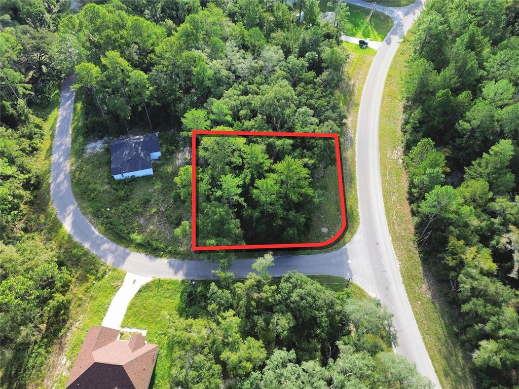 TBD FISHER ROAD, Ocklawaha, FL 32179