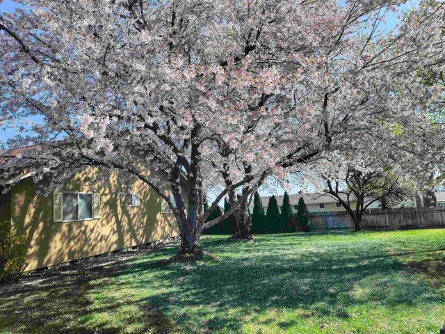 1450 Adair Dr, Richland, WA 99352