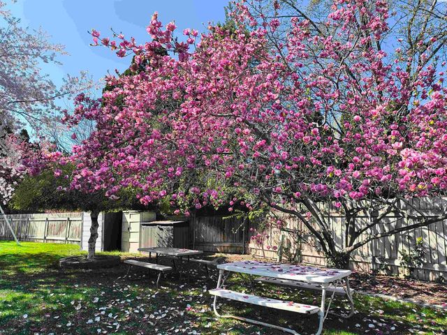 1450 Adair Dr, Richland, WA 99352