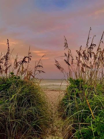 18884 LANUVIO STREET, Venice, FL 34293