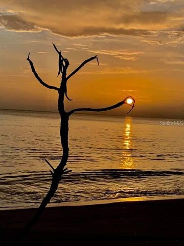 18884 LANUVIO STREET, Venice, FL 34293