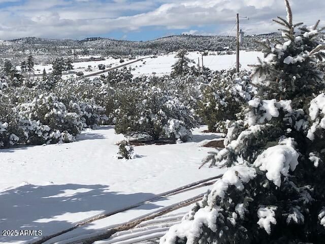 1011 DUSTY Lane, Show Low, AZ 85901