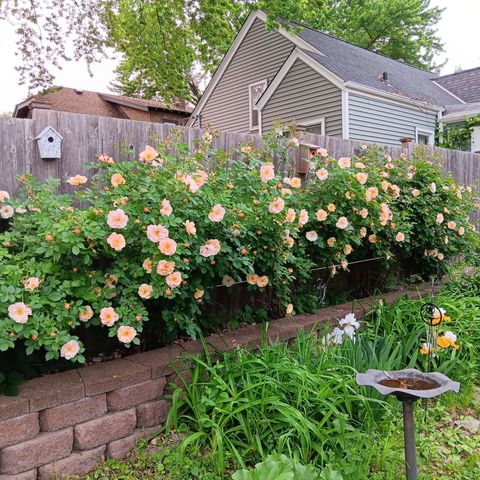 1136 Maryland Avenue E, Saint Paul, MN 55106