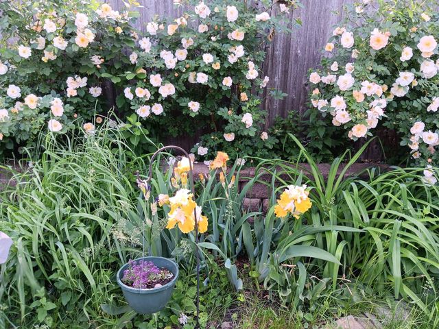 1136 Maryland Avenue E, Saint Paul, MN 55106