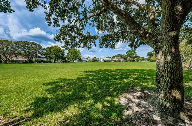 12038 STONE CROSSING CIRCLE, Tampa, FL 33635