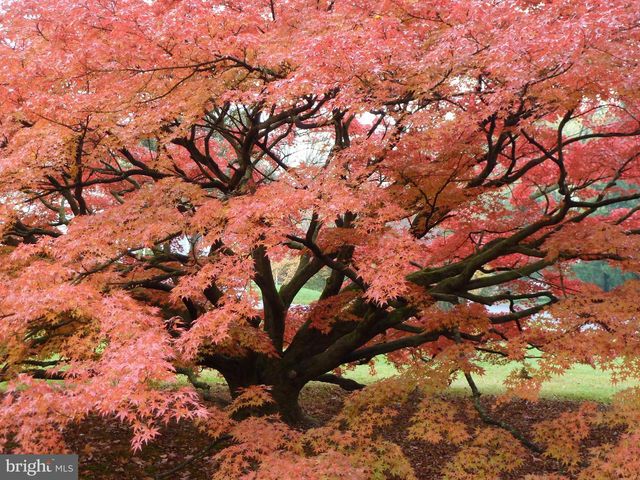 92 HOMESTEAD DR, Doylestown, PA 18901