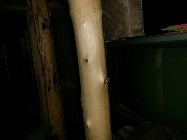 227 Hunters Drive, Lake, MI 48632