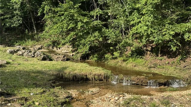 4657 Chaney Hollow Drive, Harrison, AR 72601