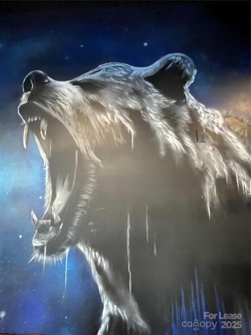 101 S Lexington Avenue, Asheville, NC 28801