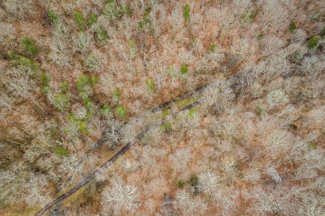 0 Lancaster Hwy, Hickman, TN 38567