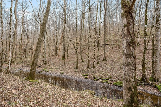 0 Lancaster Hwy, Hickman, TN 38567